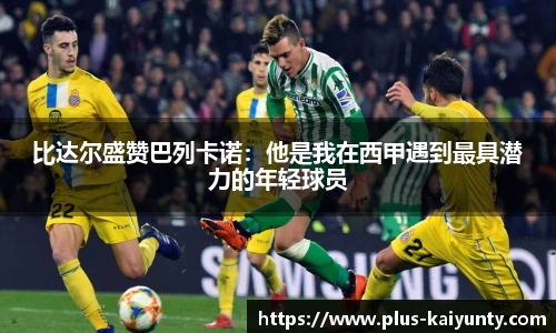 开云体育官网平台